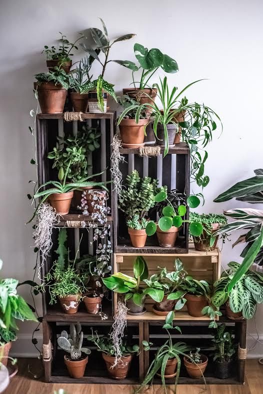 Canteiro de jardim: como fazer e alguns modelos lindos