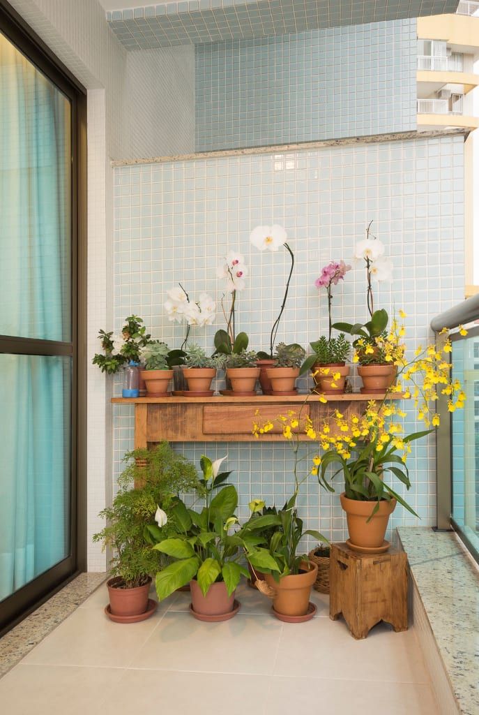 Canteiro de jardim: como fazer e alguns modelos lindos