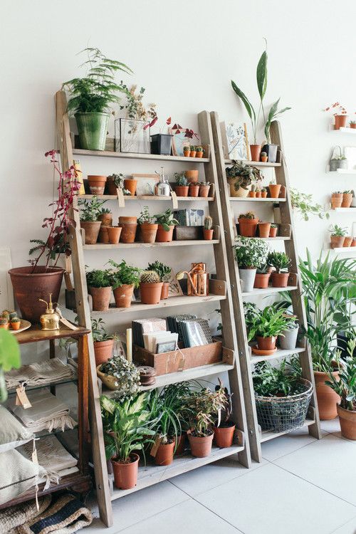 Canteiro de jardim: como fazer e alguns modelos lindos