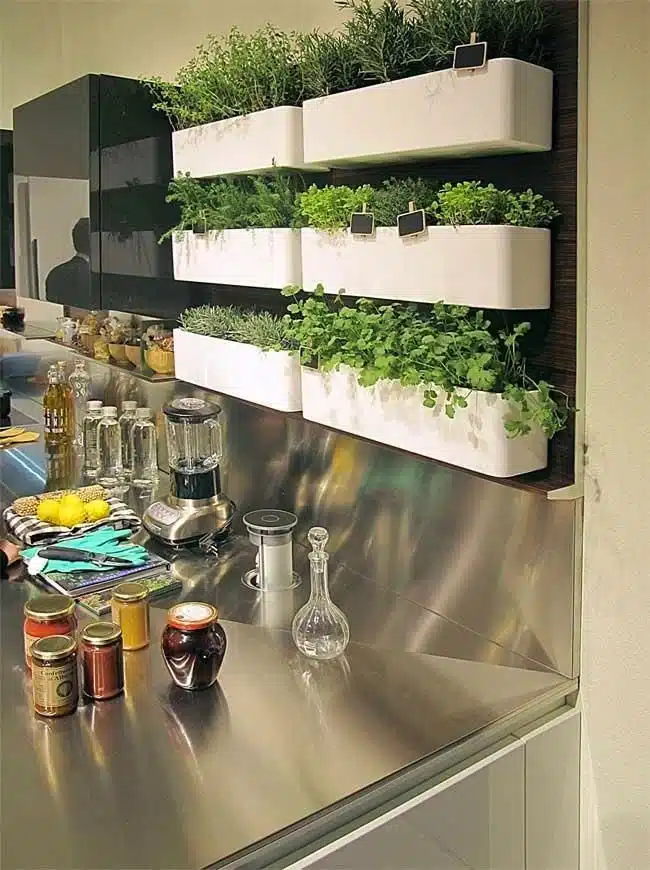 Como fazer um jardim vertical na cozinha