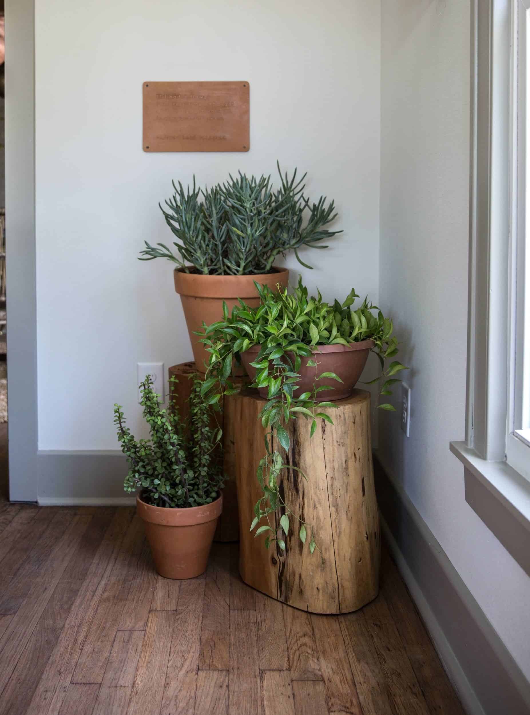Como fazer um jardim de canto