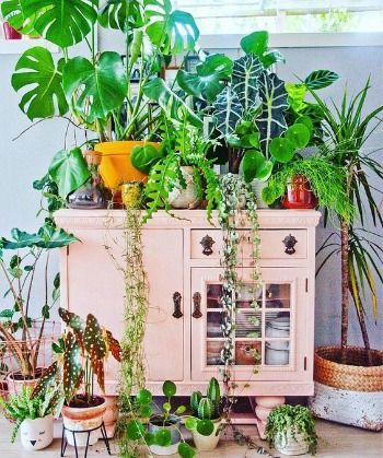Canteiro de jardim: como fazer e alguns modelos lindos