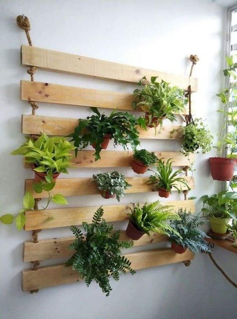 Canteiro de jardim: como fazer e alguns modelos lindos