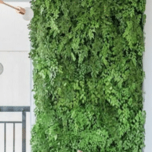 Captura de tela 2024-02-02 000406