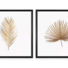 Captura de tela 2024-02-03 214404