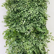 jardim-vertical-avenca-preservada-1-00x0-50mt-desidratado-muroverde